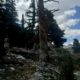 On The Road - TKH - Southern Sierra High Route Part 3 8