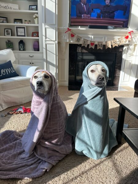 If This Doesn't Make You Feel Better, Then Nothing Will