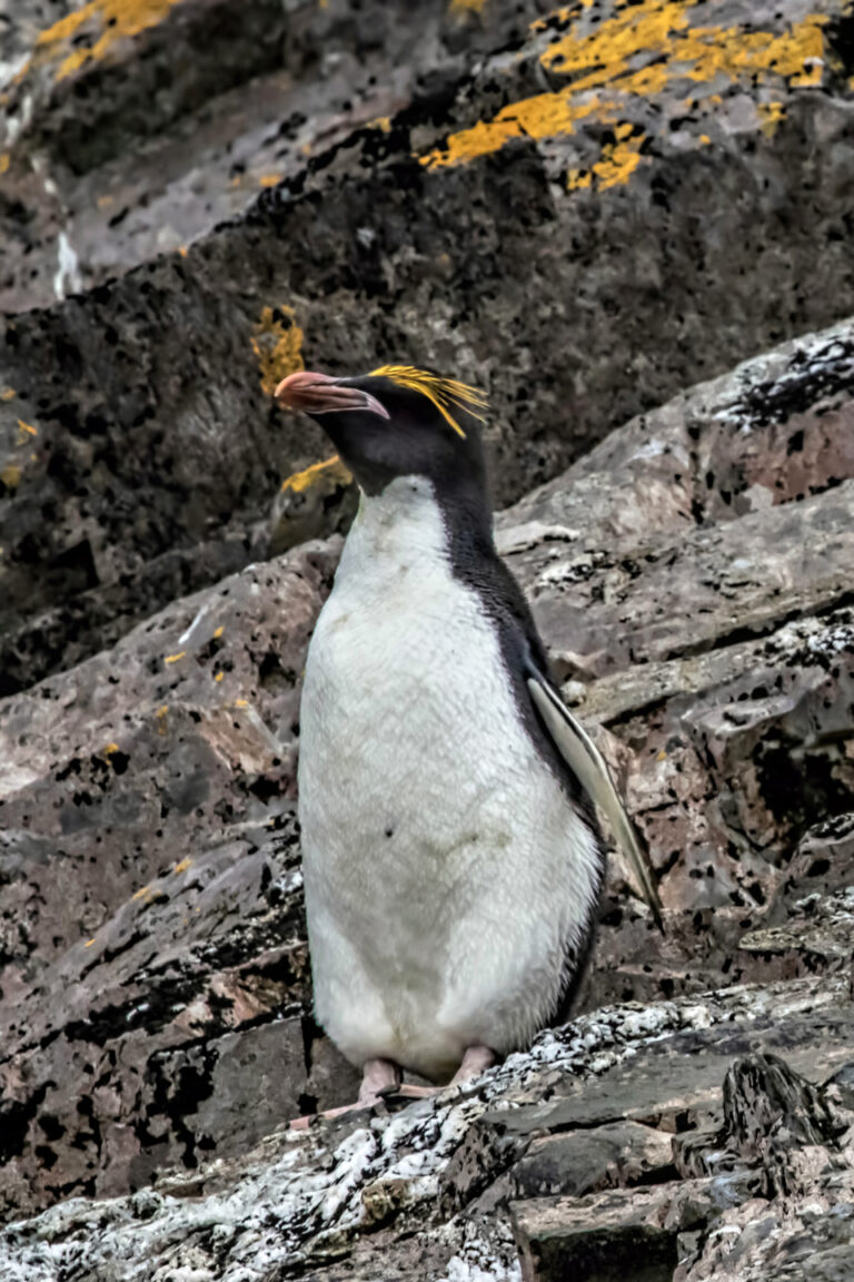 On The Road - arrieve - South Georgia, part 1 5