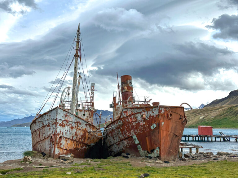 On The Road - arrieve - South Georgia, part 2 3