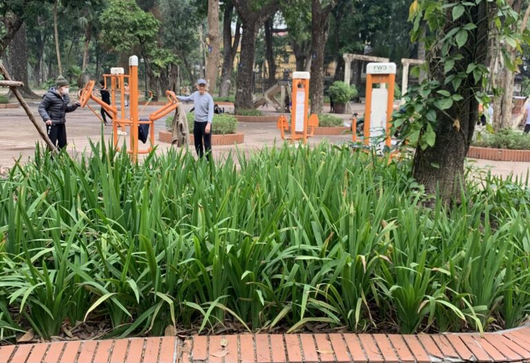 On The Road - Auntie Anne - Southeast Asia - Vietnam - Hanoi 8