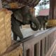 On The Road - Auntie Anne - Southeast Asia - Laos - Kuang Si Waterfall and Others 8
