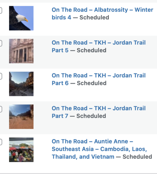 On The Road - Albatrossity - Winter birds 4 10