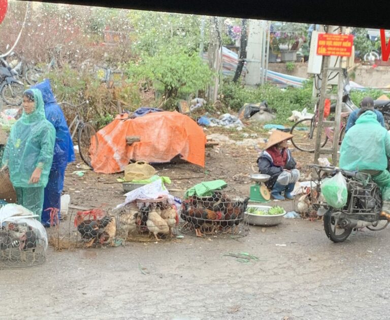 On The Road - Auntie Anne - Southeast Asia - Vietnam - Chuong Village and Hoan Kiem Lake, Hanoi 4