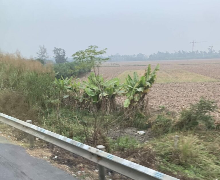 On The Road - Auntie Anne - Southeast Asia - Vietnam - Country and City Scenes 6