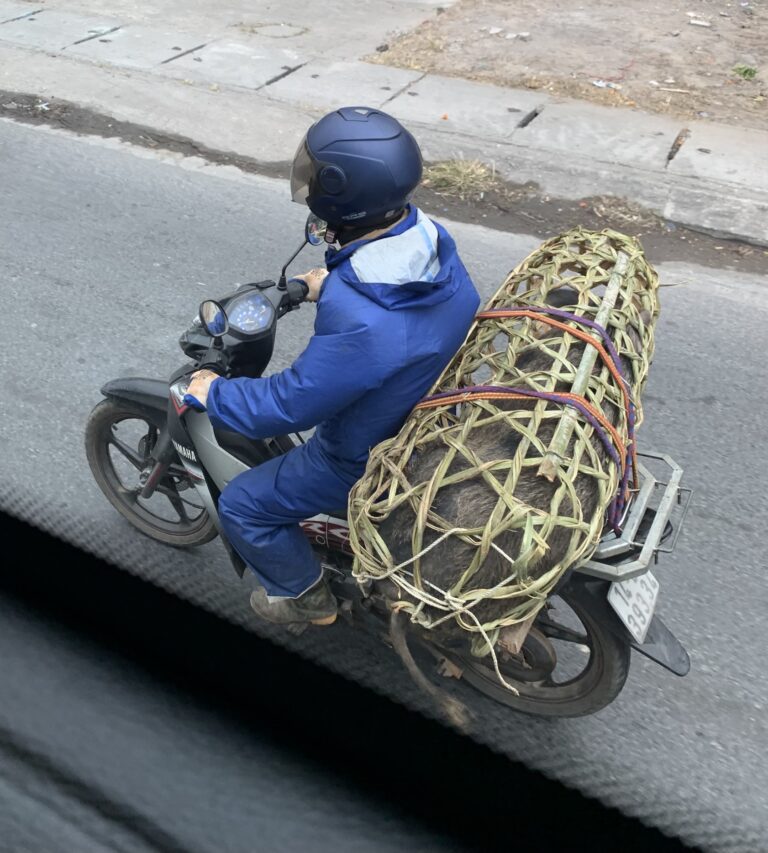 On The Road - Auntie Anne - Southeast Asia - Vietnam - Country and City Scenes 7
