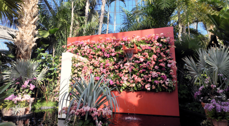 On The Road - ema - 2025 NYBG Orchid Show - Mexican Modernism 9