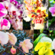 On The Road - ema - 2025 NYBG Orchid Show - Mexican Modernism