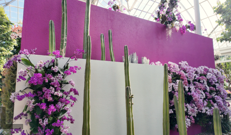 On The Road - ema - 2025 NYBG Orchid Show - Mexican Modernism 6