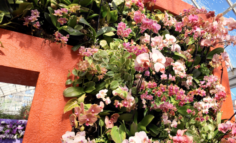 On The Road - ema - 2025 NYBG Orchid Show - Mexican Modernism 3