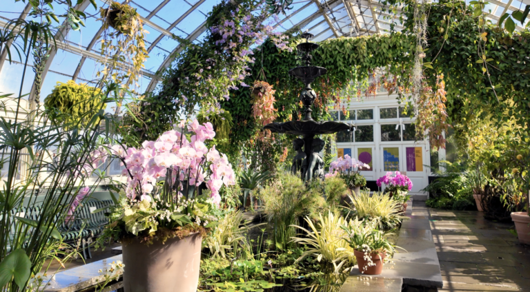 On The Road - ema - 2025 NYBG Orchid Show - Mexican Modernism 1
