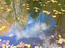 3 Sidebar Photos – March 2025 1