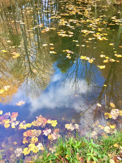 3 Sidebar Photos – March 2025 1