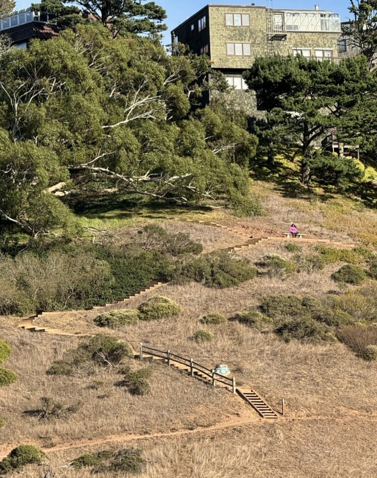 On The Road - Dmkingto - SF Bay Area Benches 5