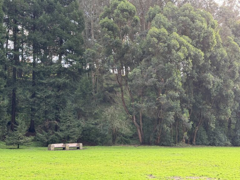 On The Road - Dmkingto - SF Bay Area Benches 8