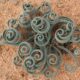 On The Road - Mike S. (now with a Democratic Congressperson!) - Some very interesting leaves in Namaqualand, Western Cape, South Africa. 1