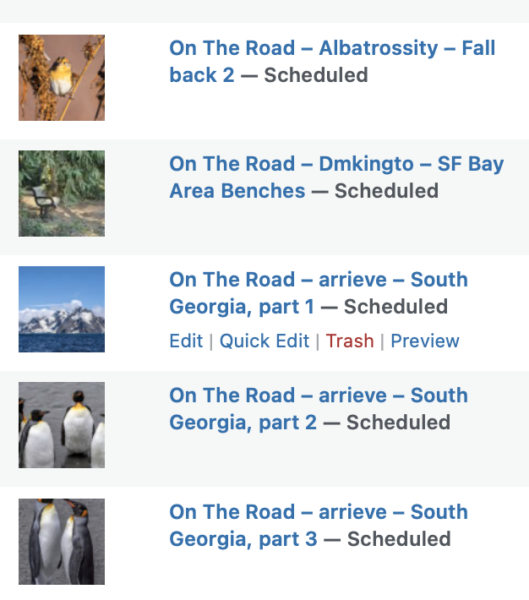 On The Road - Albatrossity - Fall back 2 11
