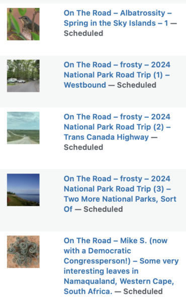 On The Road - Albatrossity - Spring in the Sky Islands - 1 11