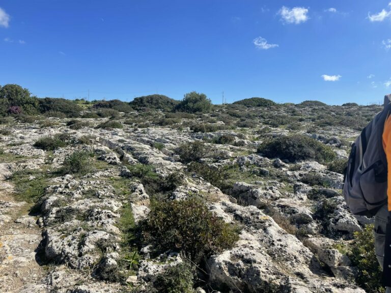 On The Road - Deputinize America - Malta III