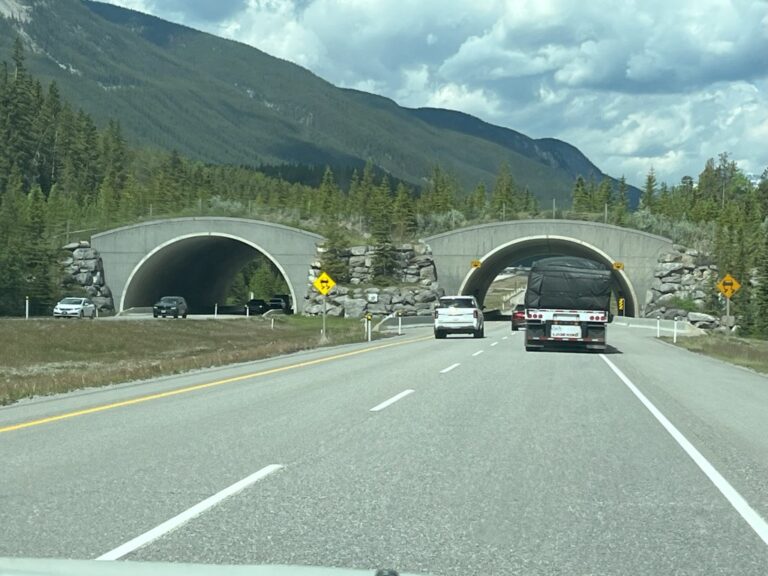 On The Road - frosty - 2024 National Park Road Trip - Canada (3/3) Icefields Parkway and Bow Lake Bike Ride 5