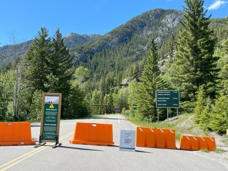 On The Road - frosty - 2024 National Park Road Trip - Canada (3/3) Icefields Parkway and Bow Lake Bike Ride 4