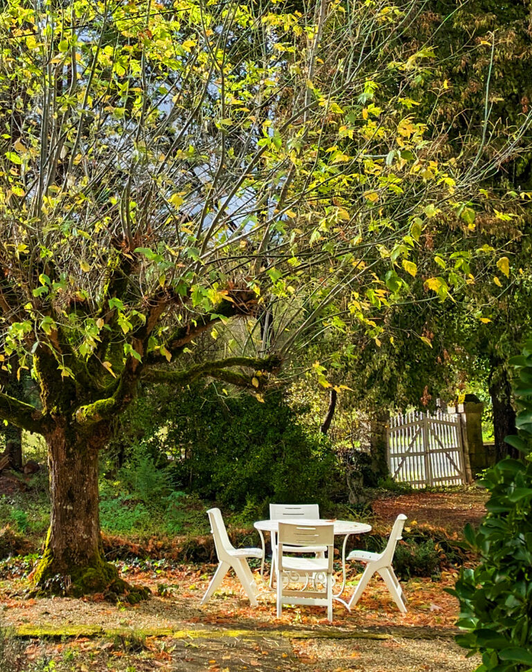 On The Road - robtrim - A terrace in France
