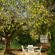 On The Road - robtrim - A terrace in France