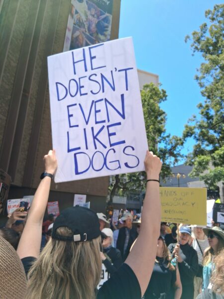 Hands Off! – San Diego 1