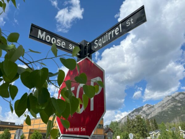 On The Road - frosty - 2024 National Park Road Trip - Canada (1/3) Banff