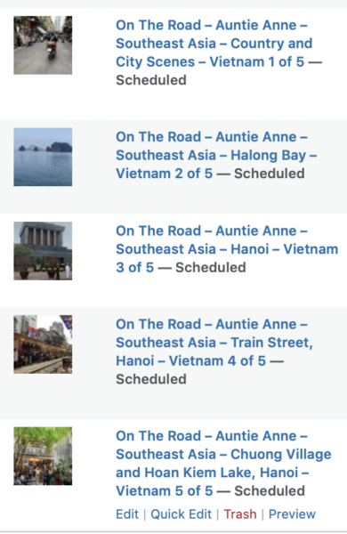 On The Road - Auntie Anne - Southeast Asia - Country and City Scenes – Vietnam 1 of 5