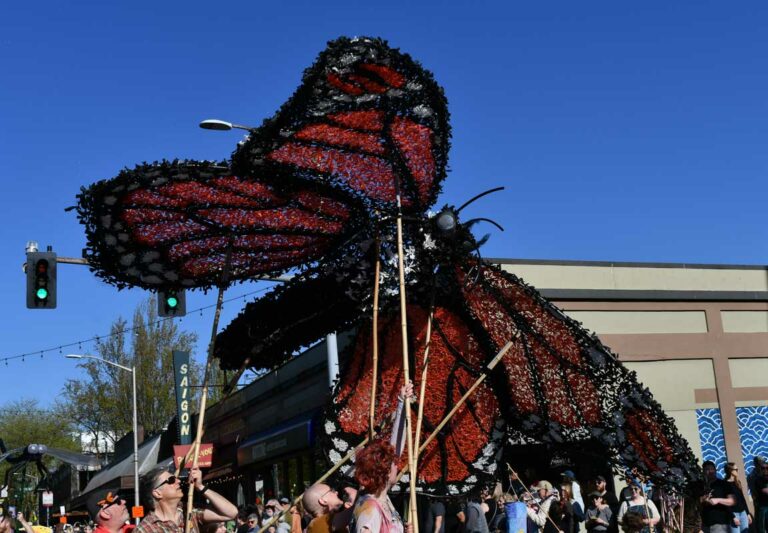 On The Road - Mike in Oly - Procession of the Species Parade, Olympia, WA 1/3 3
