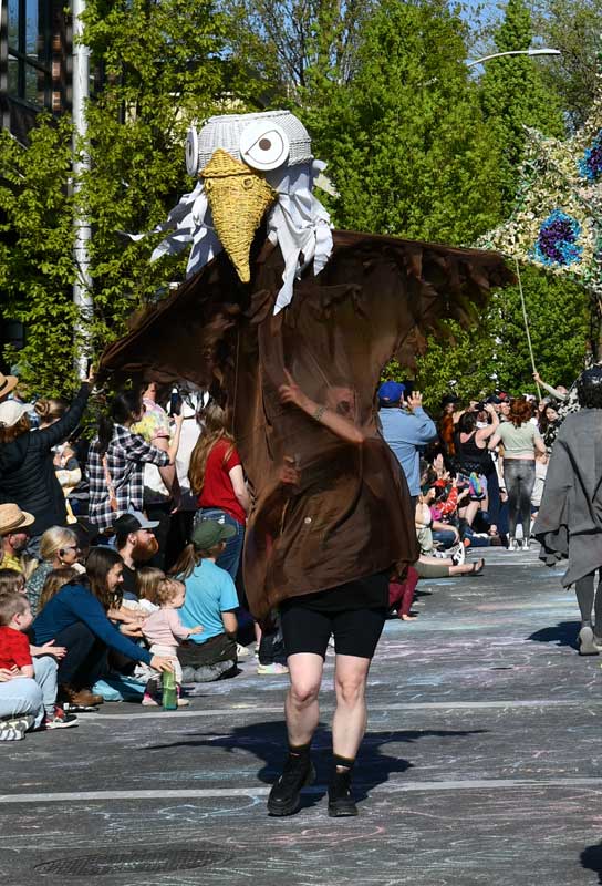 On The Road - Mike in Oly - Procession of the Species Parade, Olympia, WA 1/3 8