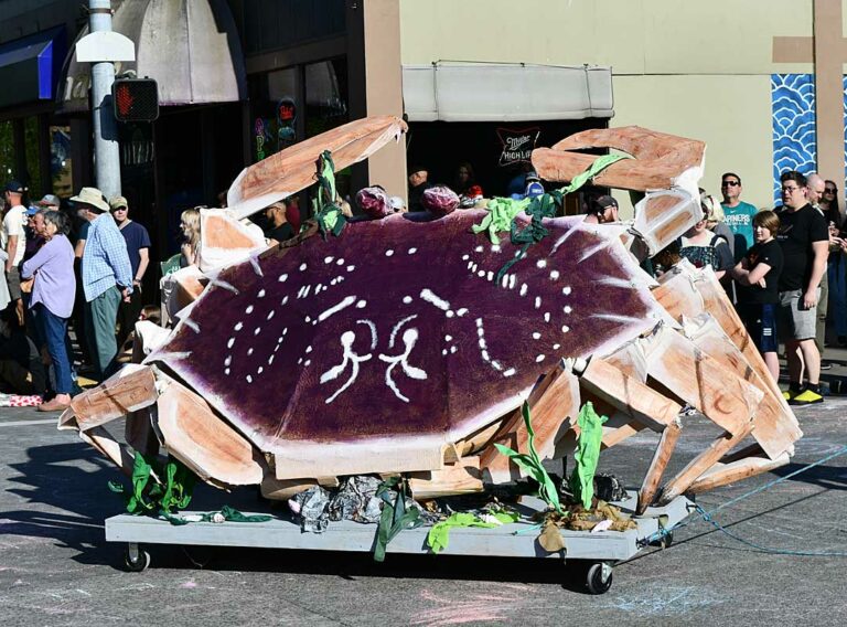 On The Road - Mike in Oly - Procession of the Species, Olympia, WA 3/3 9