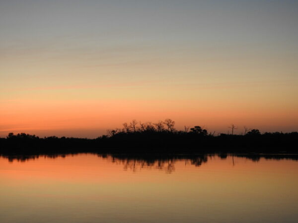 Salmon-pink sky edged in blue at the top. There's a tree line in the distance, and it and the sky above are reflected in the water.