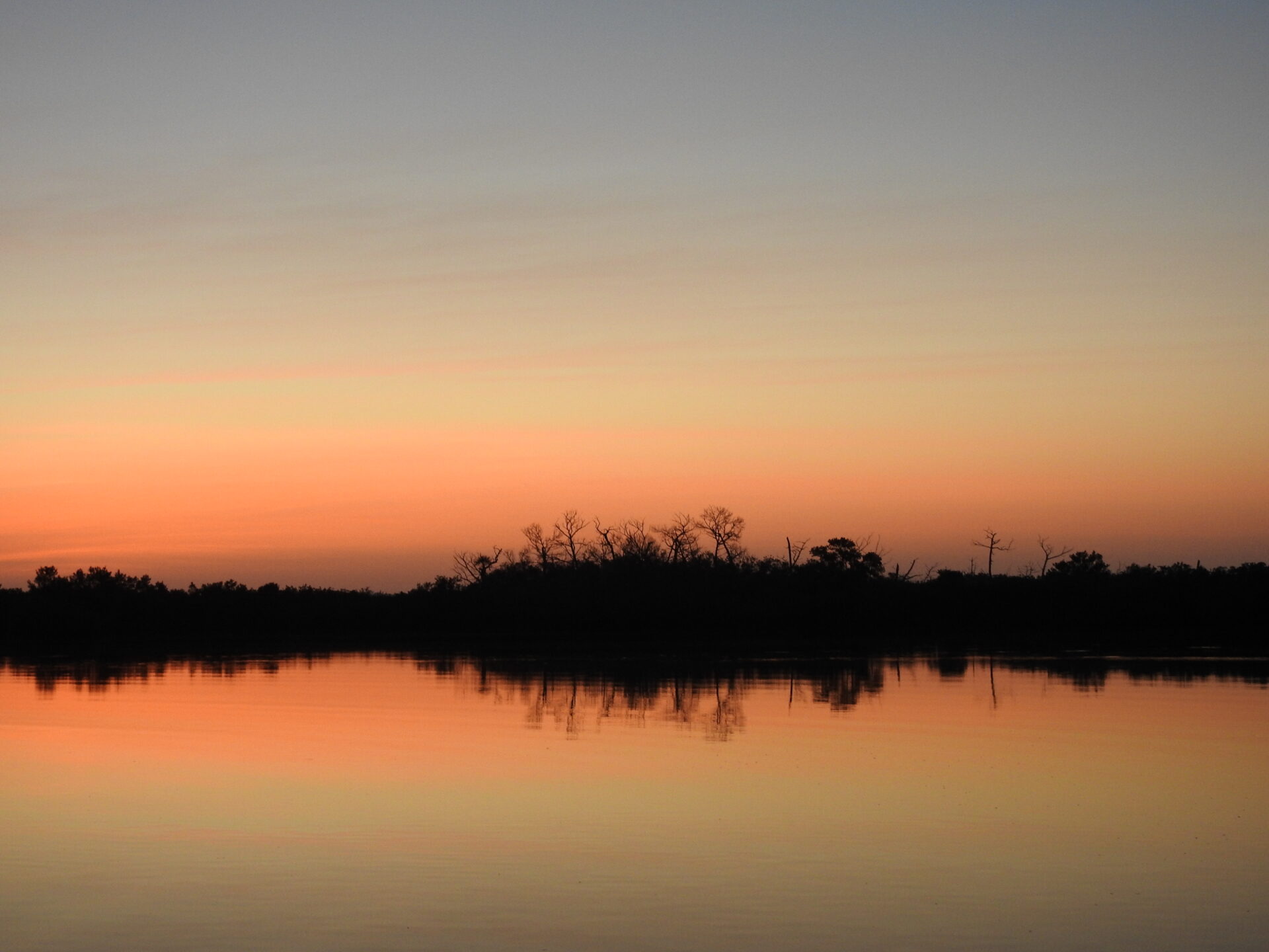 Salmon-pink sky edged in blue at the top. There's a tree line in the distance, and it and the sky above are reflected in the water. 