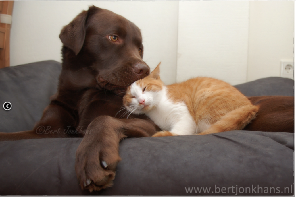 What's Everybody Up to This Weekend? (Open Thread)
