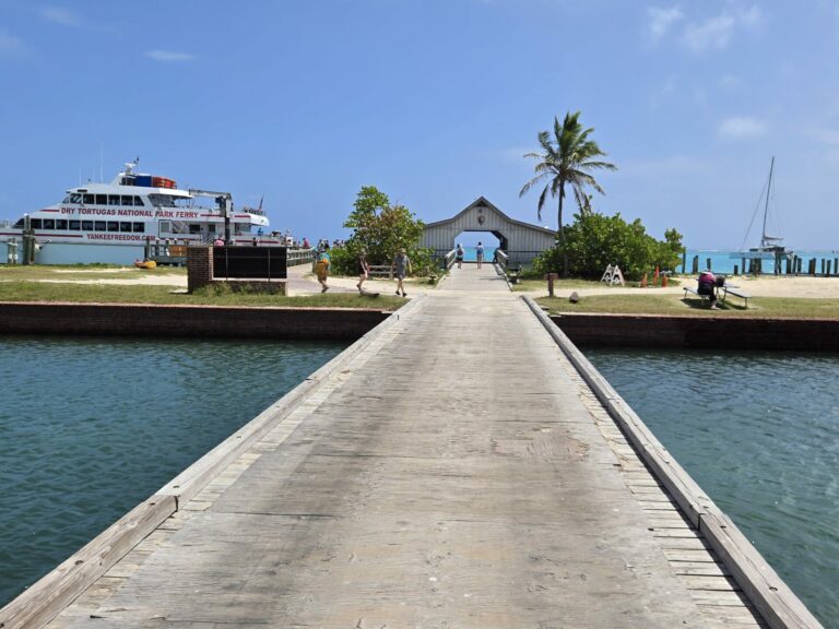 On The Road - Winter Wren - Dry Tortugas Day Trip - Part 1: Around Fort Jefferson 6