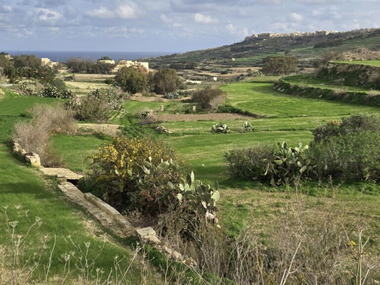 On The Road - Winter Wren - Gozo Countryside- Part 1: Għasri
