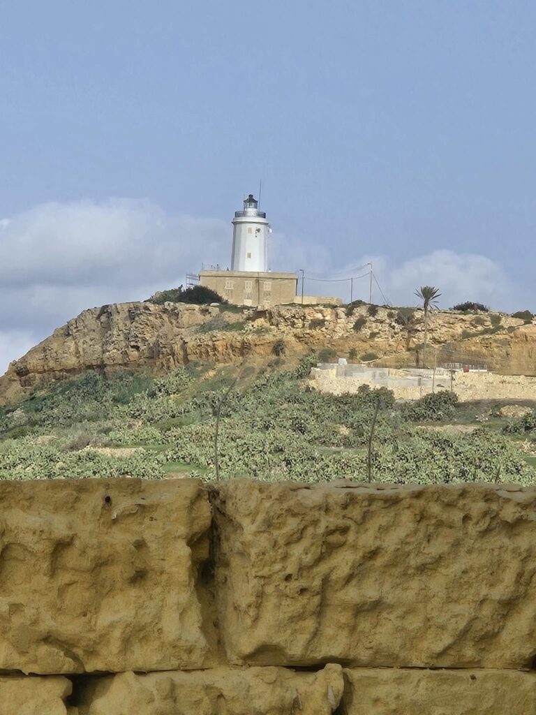 On The Road - Winter Wren - Gozo Countryside- Part 1: Għasri 5