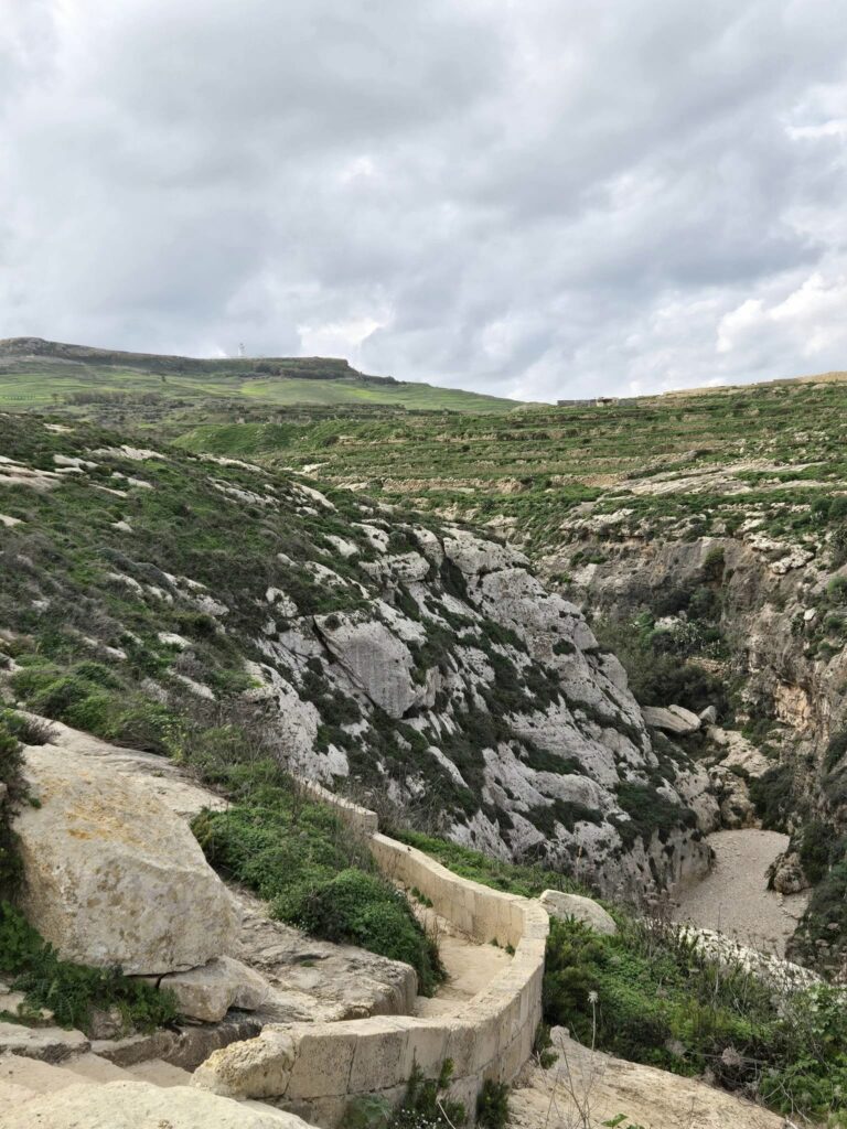 On The Road - Winter Wren - Gozo Countryside - Part 2: Wied il-Għasri 7