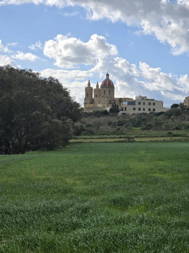 On The Road - Winter Wren - Gozo Countryside- Part 1: Għasri 1