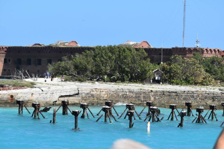 On The Road - Winter Wren - Dry Tortugas Day Trip - Part 1: Around Fort Jefferson 8