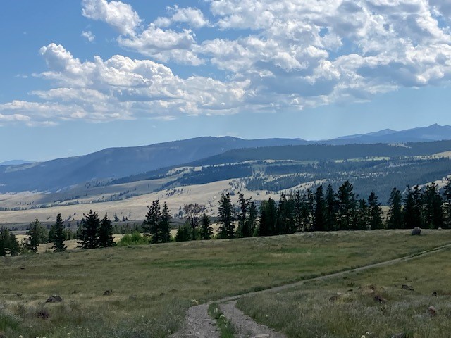 On The Road - Hoodie - British Columbia Loop 2024 4