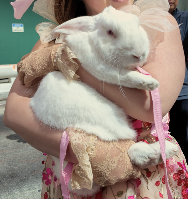 On The Road - ema - Invasion of the Easter Bunny Wannabes 9