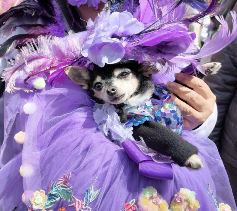 On The Road - ema - Invasion of the Easter Bunny Wannabes 5