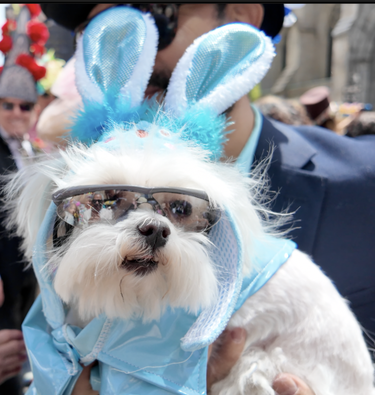 On The Road - ema - Invasion of the Easter Bunny Wannabes 4