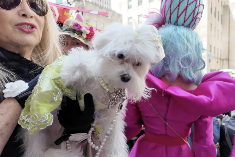 On The Road - ema - Invasion of the Easter Bunny Wannabes 3