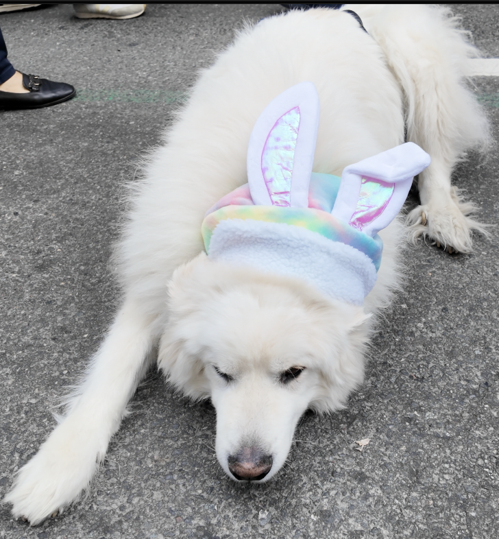 On The Road - ema - Invasion of the Easter Bunny Wannabes 2