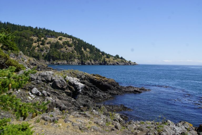 On The Road - frosty - 2024 National Park Road Trip - Washington (1/10) San Juan Island and Seattle Part 1 5