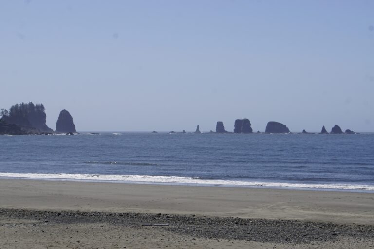On The Road - frosty - 2024 National Park Road Trip - Washington (4/10) Olympic National Park – Coast 8